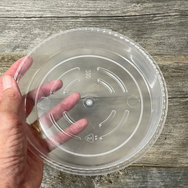 6.5” clear plastic plant pot saucer