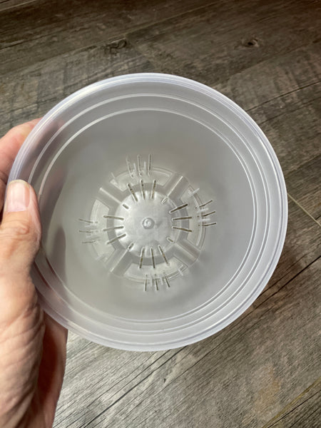 6.25 round tall clear cylinder pot *NEW*