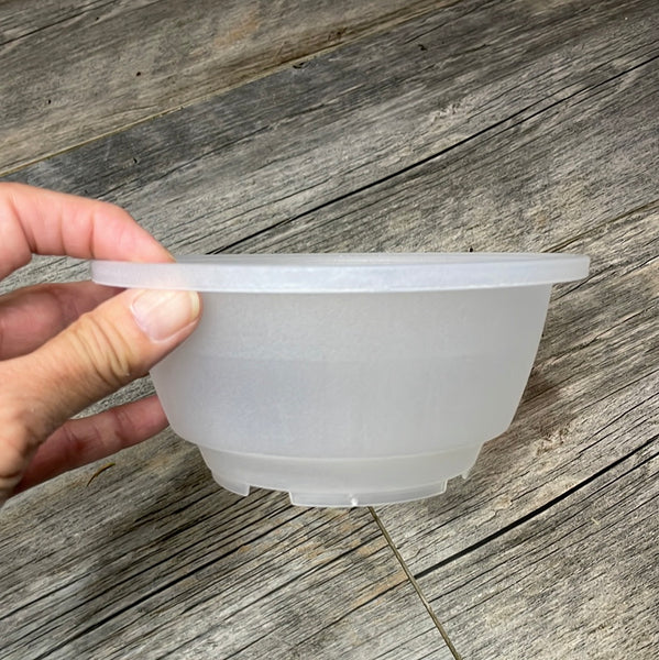 5.5" clear textured shallow bulb pan