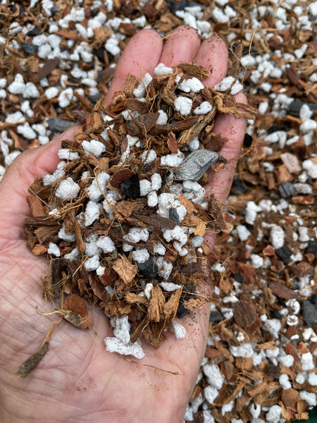 Soilless Hoya Potting Mix (Wax Plant, Porcelain Flower)- two sizes