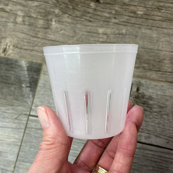 3" round rimless translucent pot