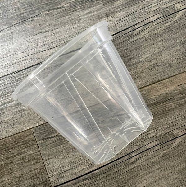 5.5” high transparency clear round orchid pot
