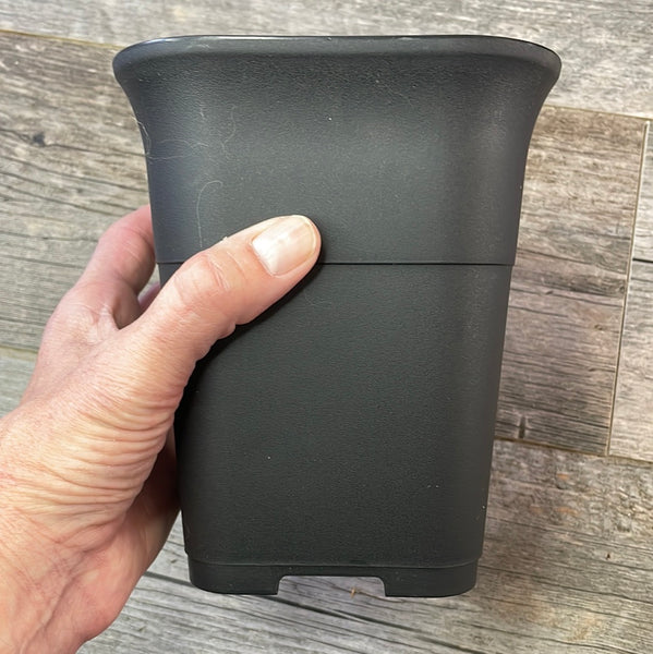 5.5" square sturdy black plastic succulent & bonsai pot