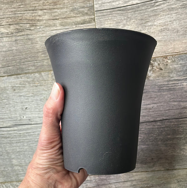 large round black succulent pot with flared lip