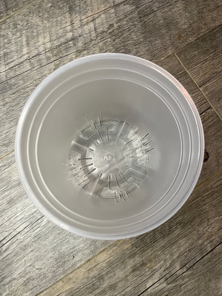 6.25 round tall clear cylinder pot *NEW*
