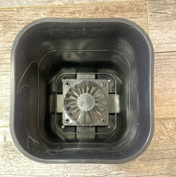 5.5" square sturdy black plastic succulent & bonsai pot