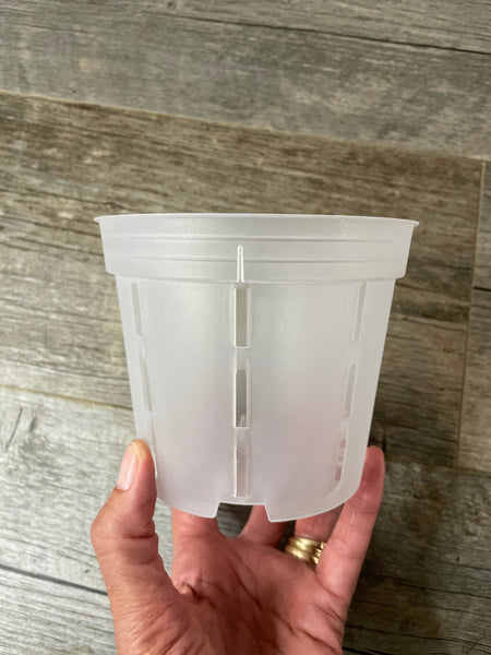 a hand holding a 5" round transparent orchid pot with side slots