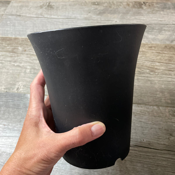 a hand holding a large round black succulent pot with a flared rim