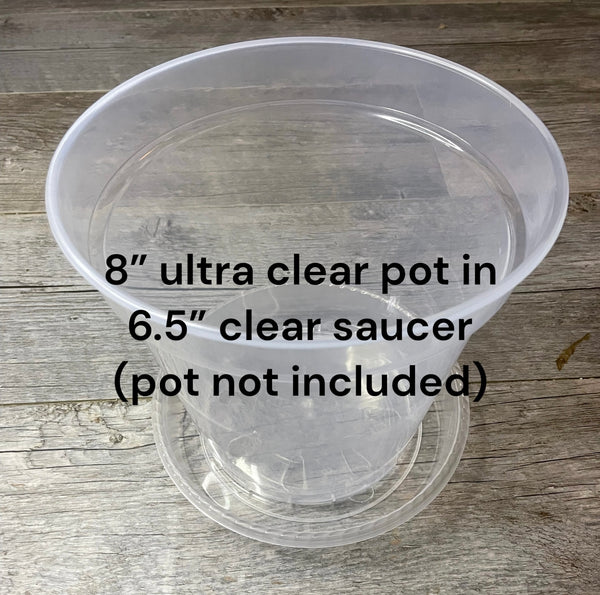 6.5” clear plastic plant pot saucer