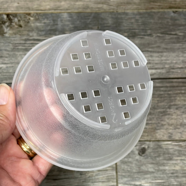 4" clear textured shallow bulb pan