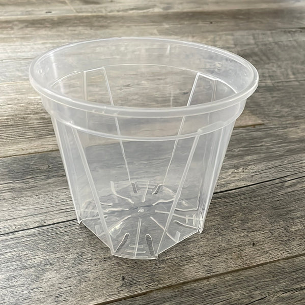 5.5” high transparency clear round orchid pot