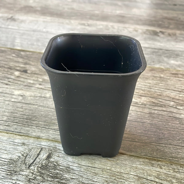 side view of a textured black plastic flower pot for succulents