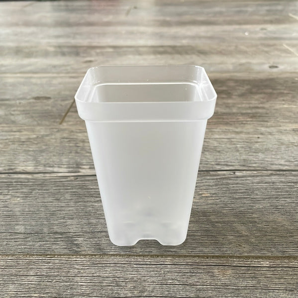2.5” tall clear square seedling pot