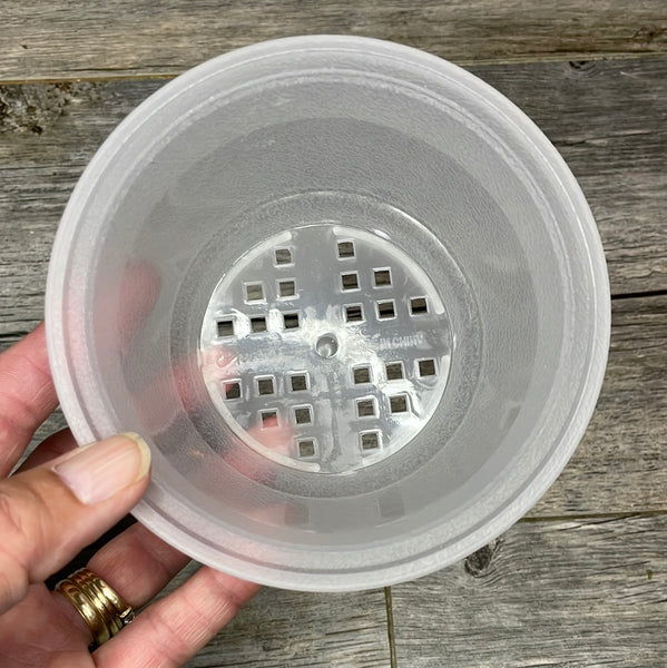 4" clear textured shallow bulb pan