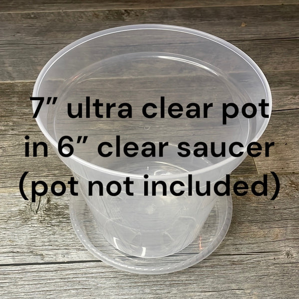 6” clear plastic pot saucer