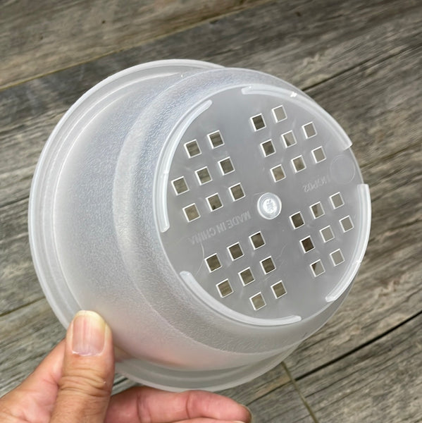 5.5" clear textured shallow bulb pan