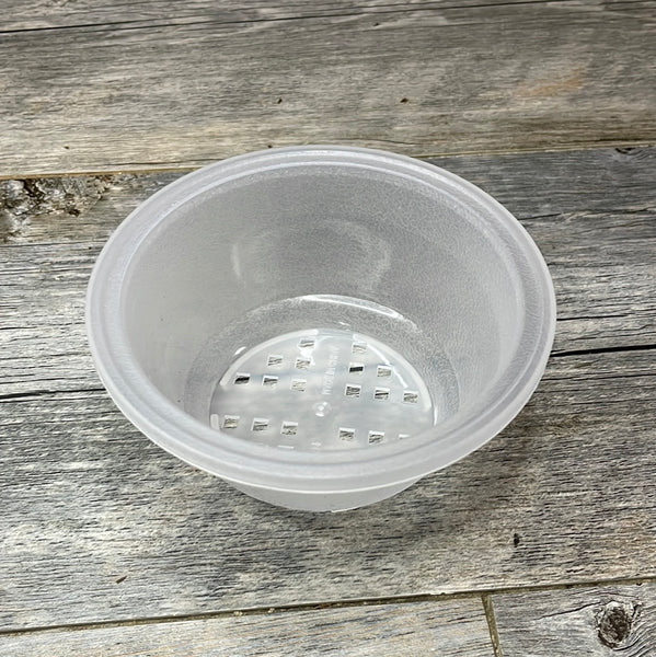4" clear textured shallow bulb pan