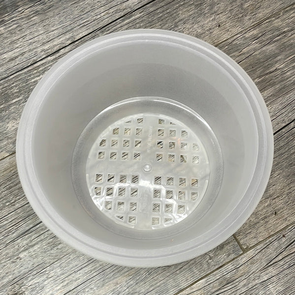 7" clear textured shallow bulb pan