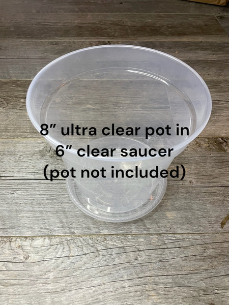 6” clear plastic pot saucer