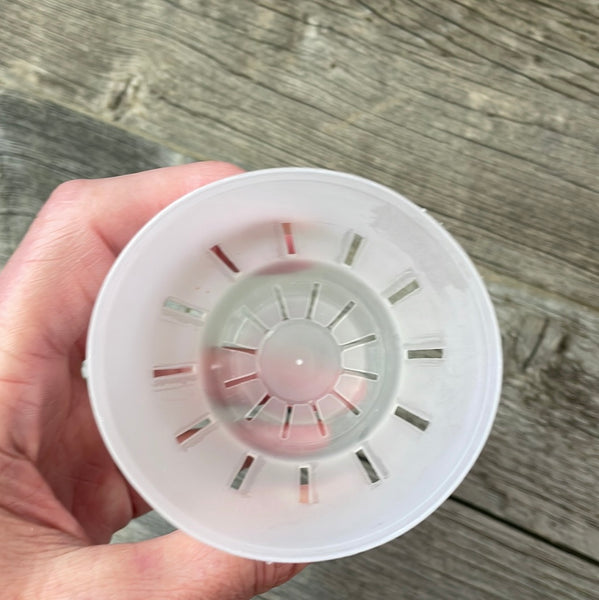 3" round rimless translucent pot