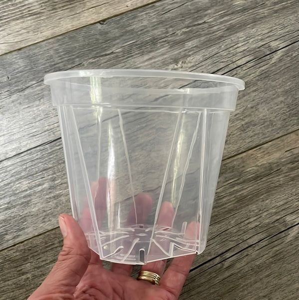 5.5” high transparency clear round orchid pot