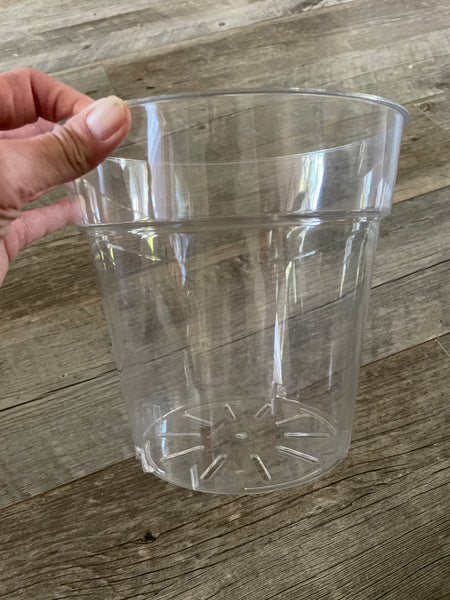 8.25” ultra high transparency clear round orchid pot *NEW*