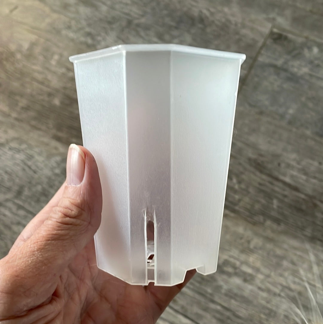 tall thin plastic plant pots 2.75" bevel sided tall square clear seedling pot