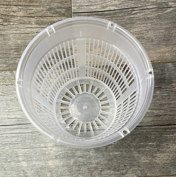 top view showing the mesh of a clear round orchid pot