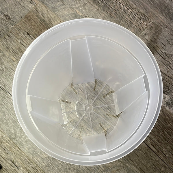 11.5" clear round orchid pot