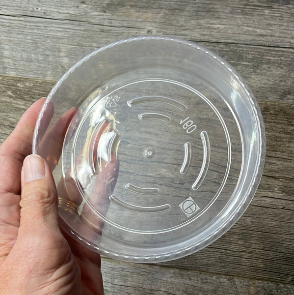 5” clear plastic pot saucer