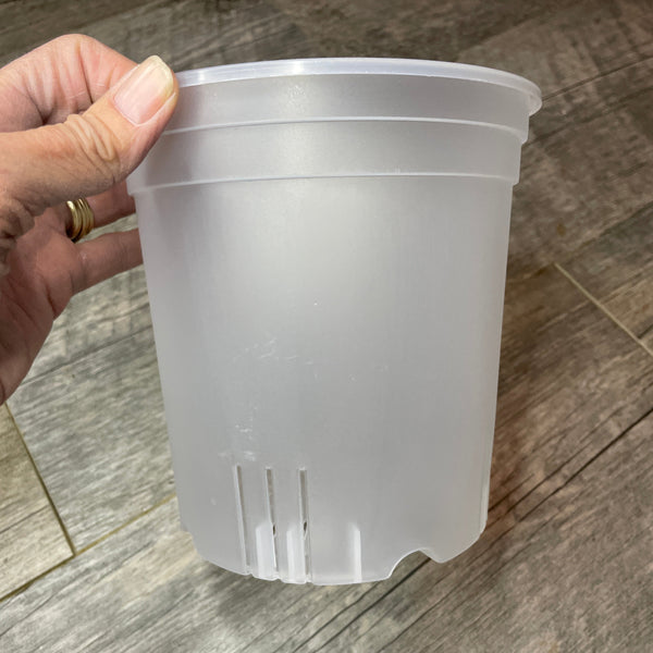 6.25 round tall clear cylinder pot *NEW*