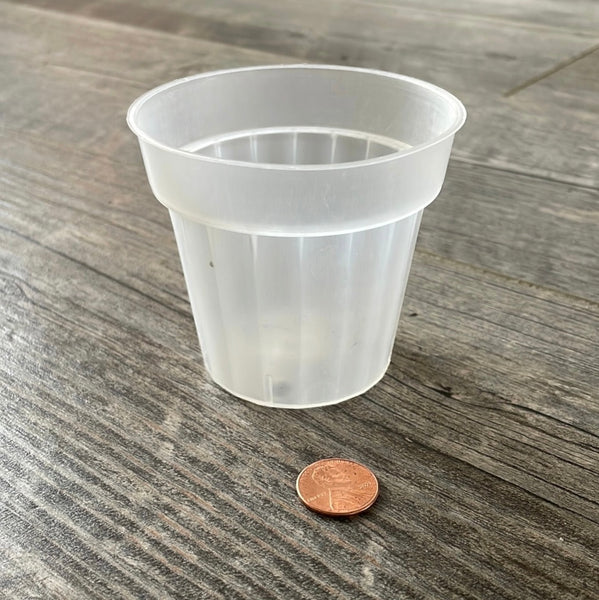 3" round sturdy clear pot