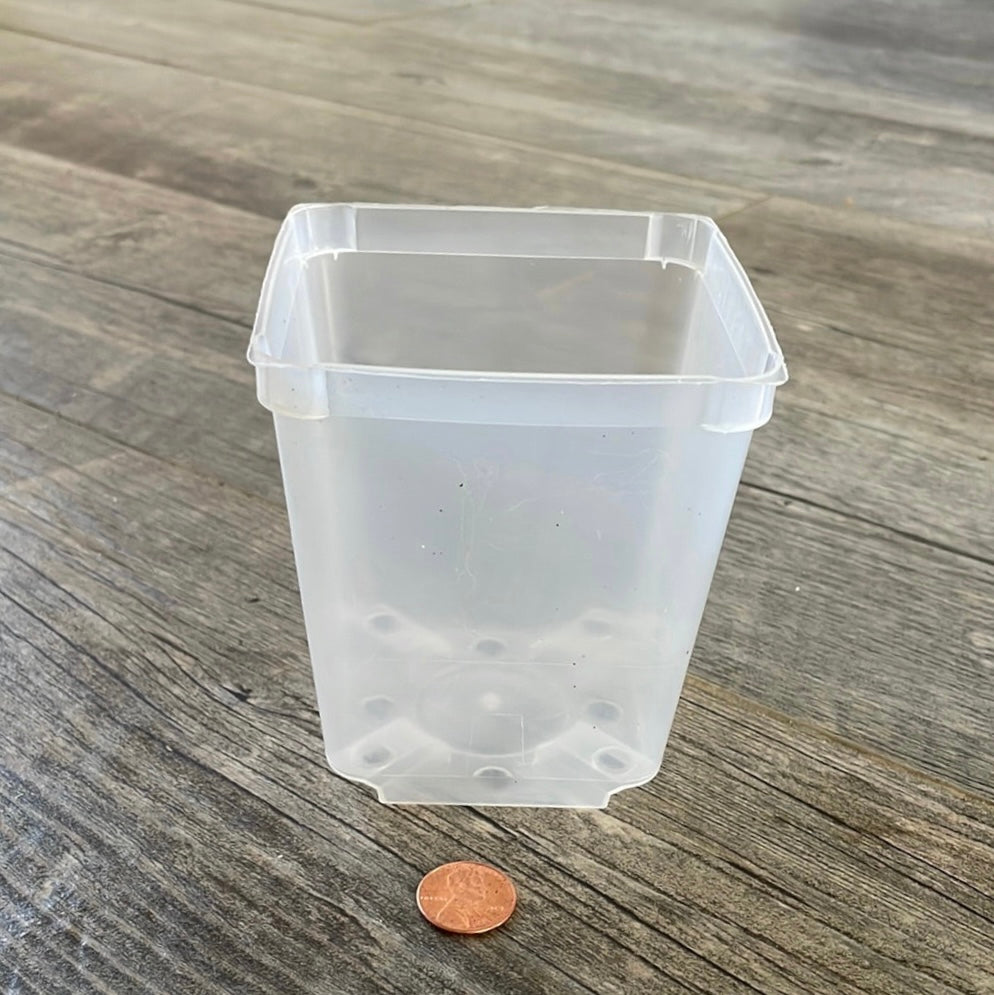 3.5
