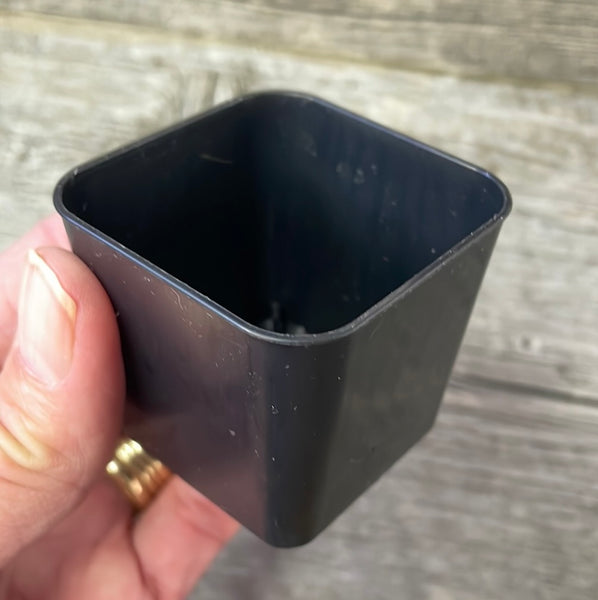 2" square black seedling pot