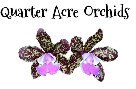 QuarterAcreOrchids