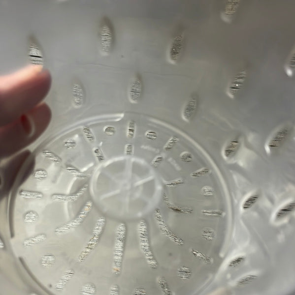 5" clear round orchid pot with holes