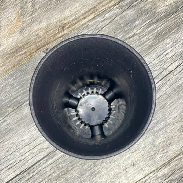 3.5” round black plastic flared succulent pot *NEW*