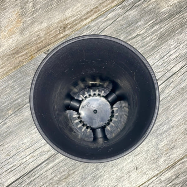3.5” round black plastic flared succulent pot