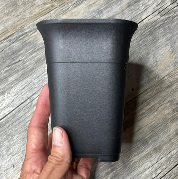 4" square sturdy black plastic succulent pot