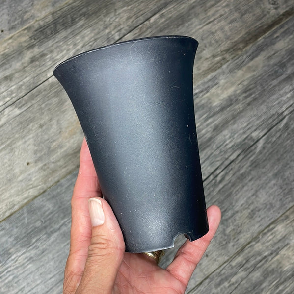 3.5” round black plastic flared succulent pot