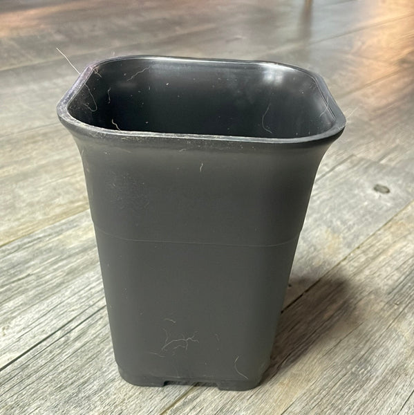 4.75" square sturdy black plastic succulent & bonsai pot