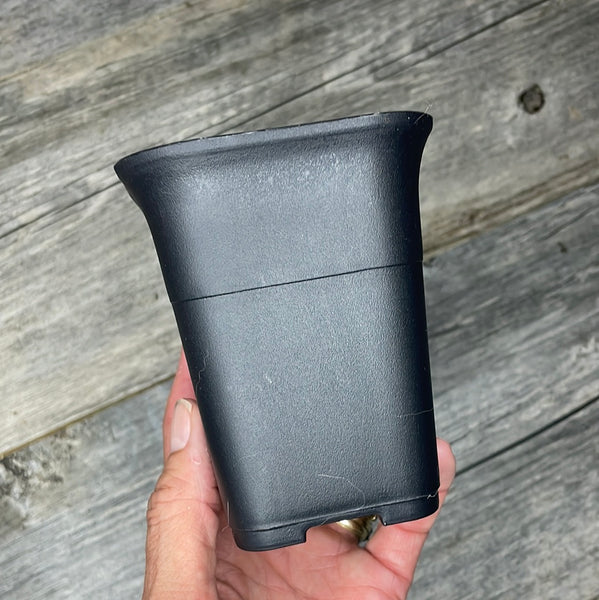 3.5" square sturdy black plastic succulent pot