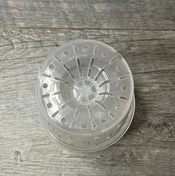 5" clear round orchid pot with holes