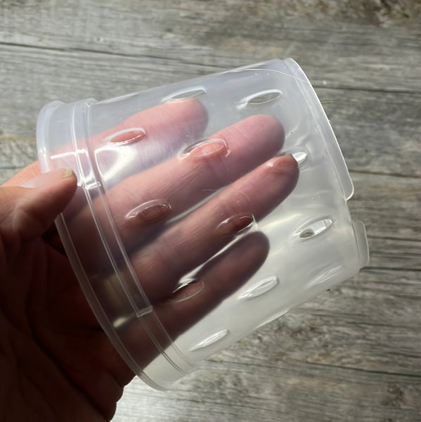 5" clear round orchid pot with holes
