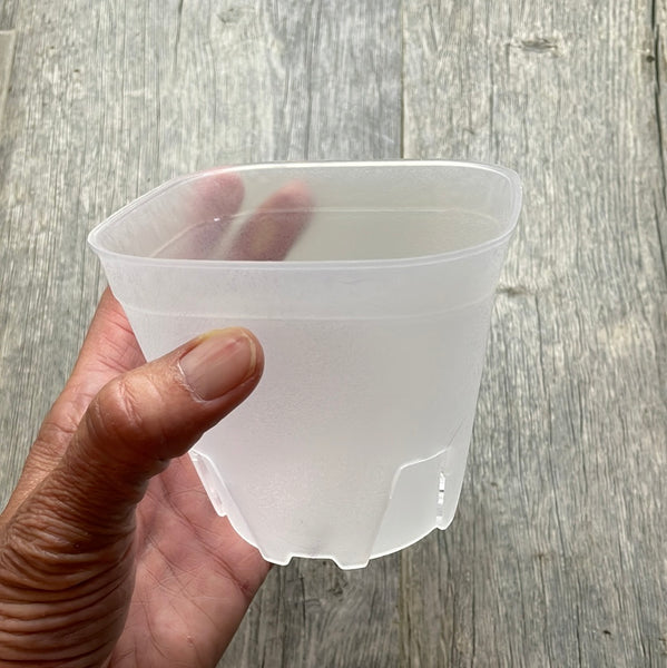 4" round cornered clear square pot