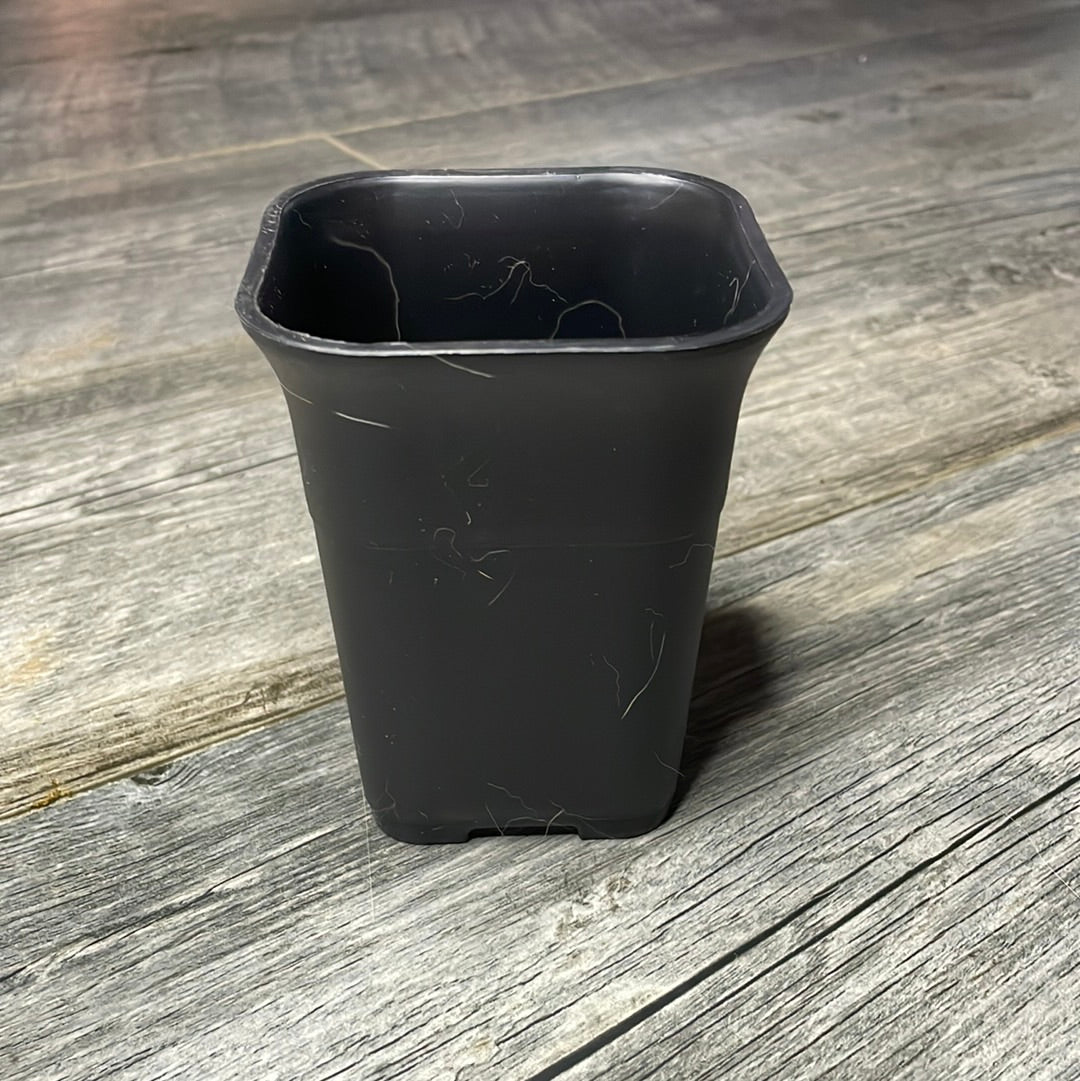 square plastic plant pots 3.5" square sturdy black plastic succulent pot – QuarterAcreOrchids