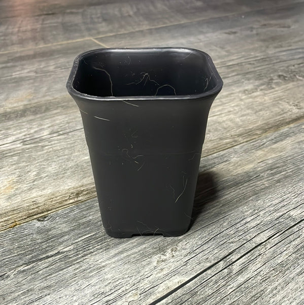 3.5" square sturdy black plastic succulent pot