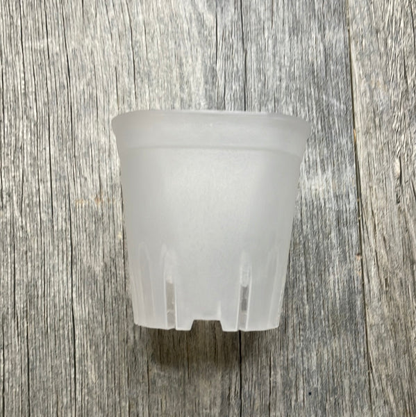 2.5" square round cornered clear seedling pot