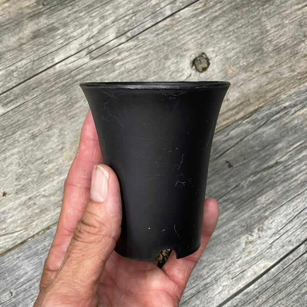 3" round black plastic flared succulent pot