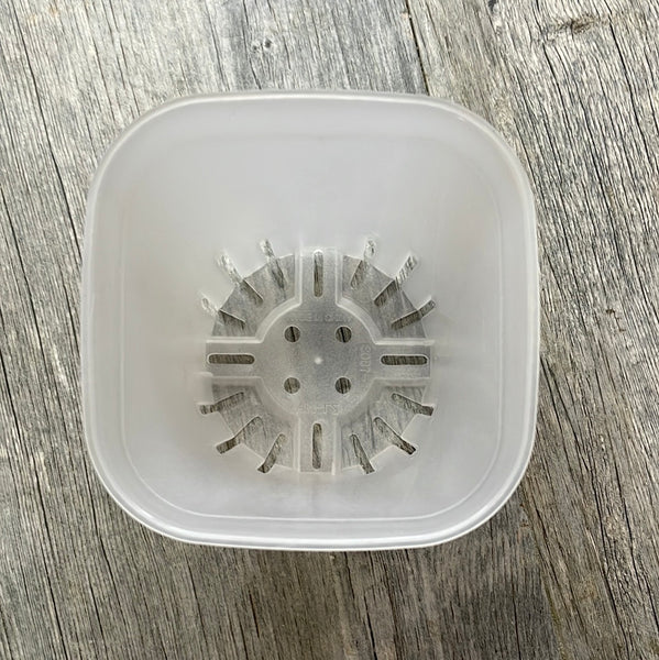 3.75" round cornered clear square seedling pot